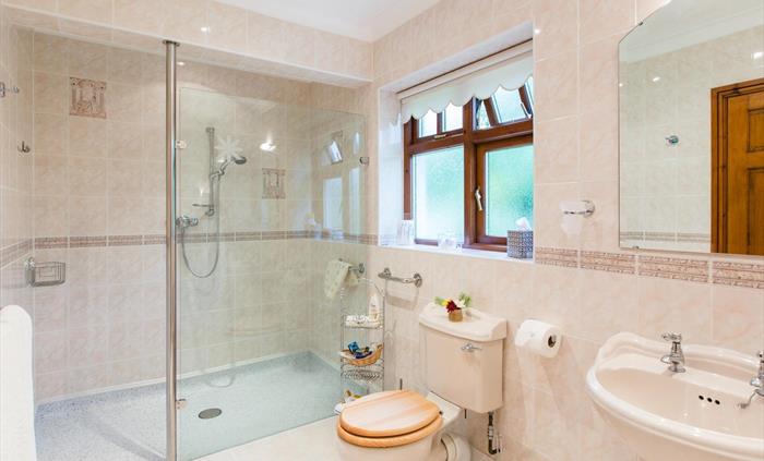 Carn Menyn suite bathroom; walk in shower, toilet, washbasin and external window.